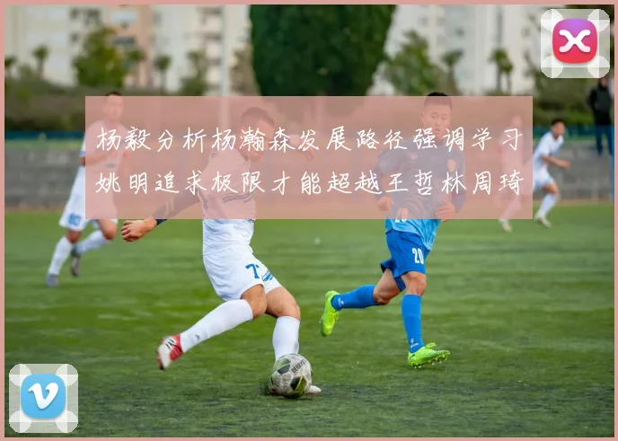 杨毅分析杨瀚森发展路径强调学习姚明追求极限才能超越王哲林周琦状态